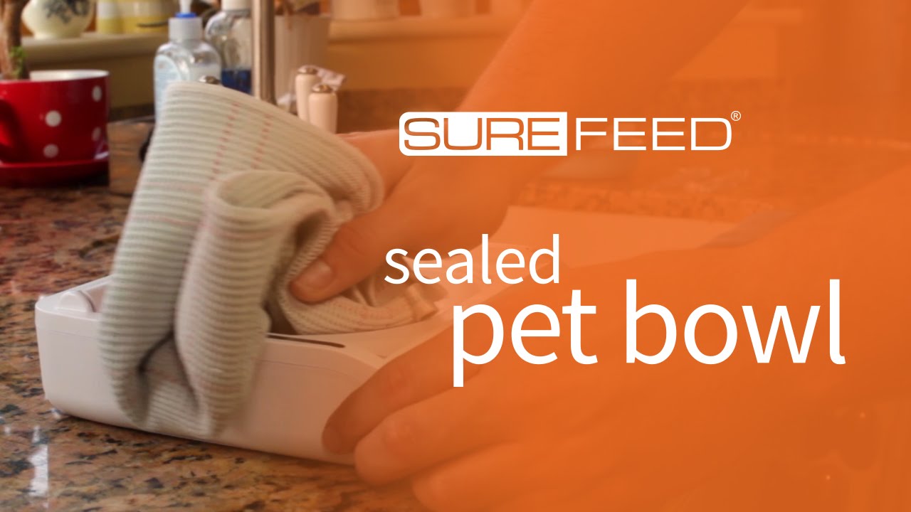 surefeed replacement bowls