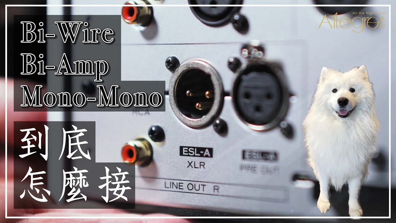 樂府音響【BI-WIRE、BI-AMP、MONO-MONO】到底怎麼接?