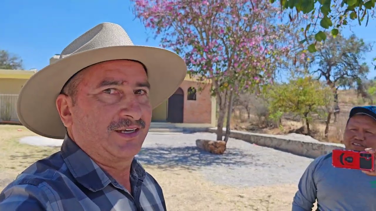 Bajada de la Virgen: del piloncillo a San Juan 