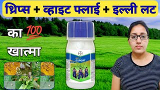 Belt Expert Insecticide | Flubendiamide 19.92 + Thiacloprid 19.92 SC | belt expert bayer dose