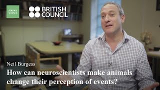 Cognitive Neuroscience - Neil Burgess