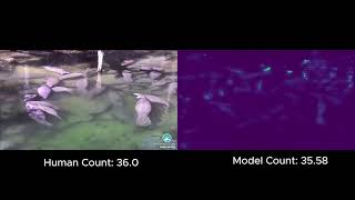 AI manatee count vs. researcher count