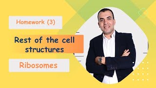 Homework (3) - Rest of Cell structures - Ribosomes