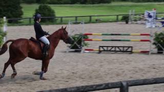 Nelly et Terracota Hunter Cognac Amateur 2 GP 105 - 05-06-2016