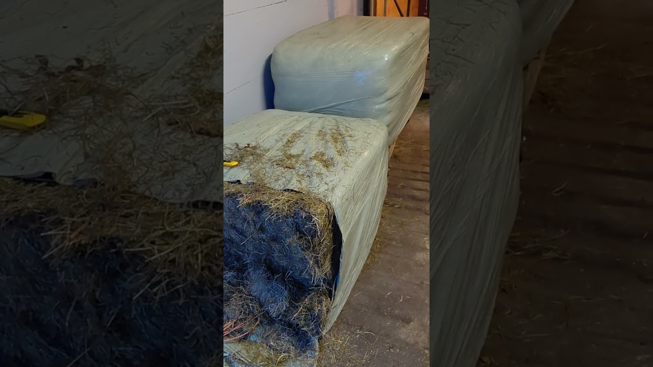 Vierkante balen yesss!