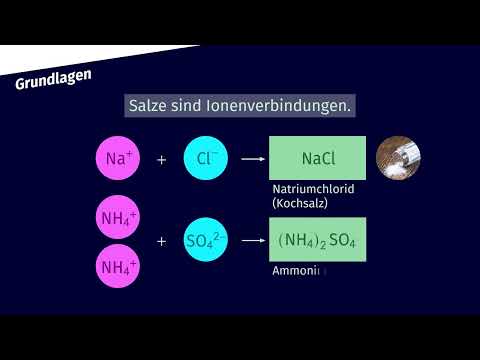 Salze – Ionengitter