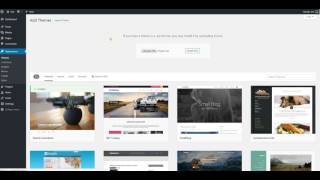 Famous How to activate theme and plugins? Wealth
