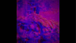 neon//ashes - maimed from the inside out