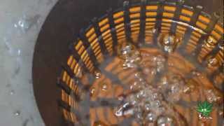 Deep  Water Culture DWC the easy way