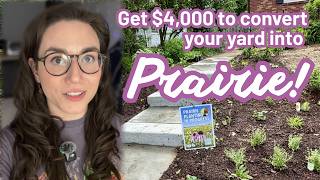 Suburban Prairie: Transforming my St. Louis Yard into a Wildlife Oasis