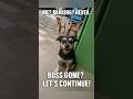 Tengiz: The Comically Tough Oilman Dog