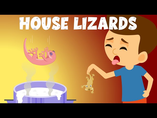 What if a lizard falls in your food? | Lizard is Poisonous? | House ...