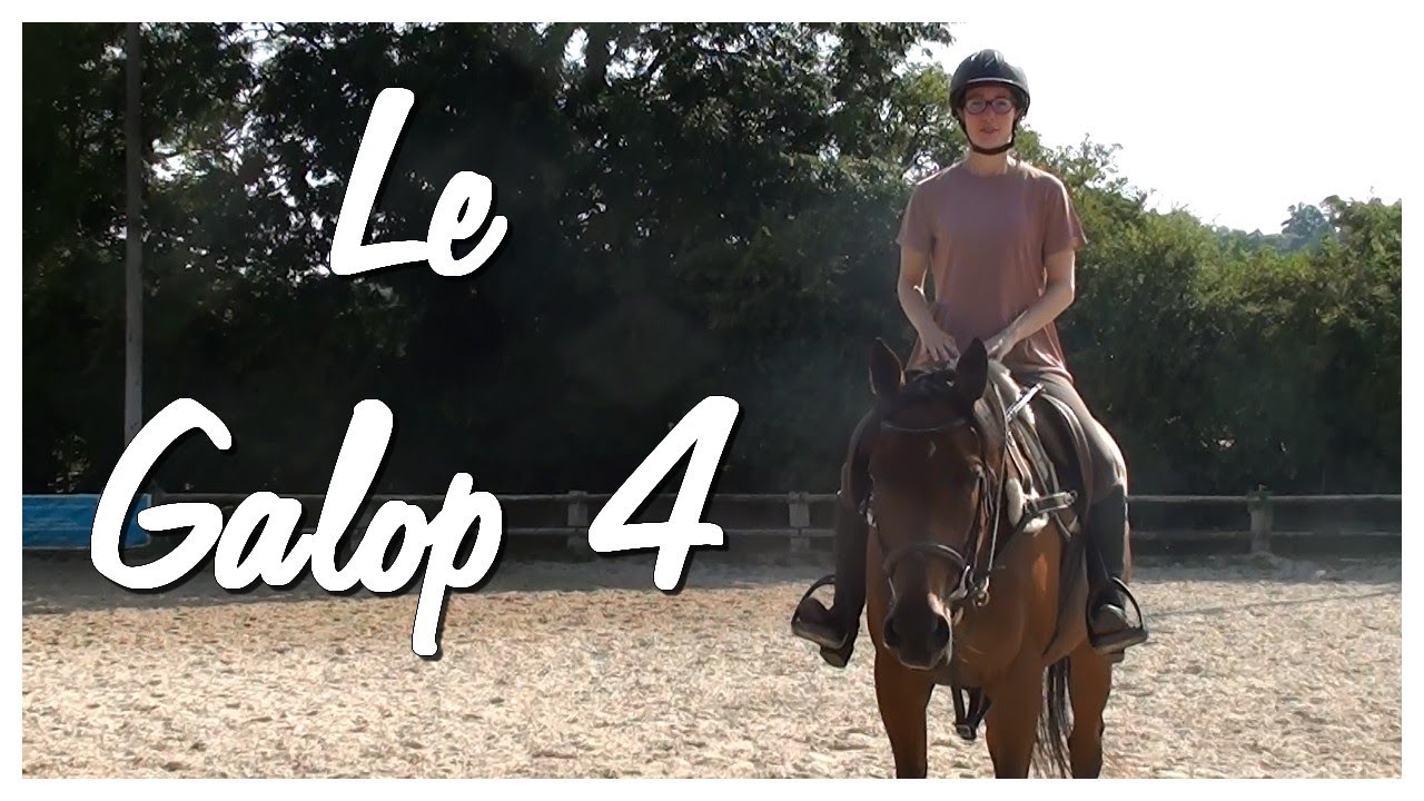 [Galop 4] Le brevet du cavalier