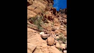 Jackson's Ladder Amasa Trail Run