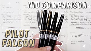 Pilot Falcon Fountain Pen Nib Comparison