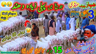 3 June 2026 Pehli Bar Wednesday Bakra Mandi Dawn تاریخ میں پہلی بار season 2027 ke bakre sirf 15000 