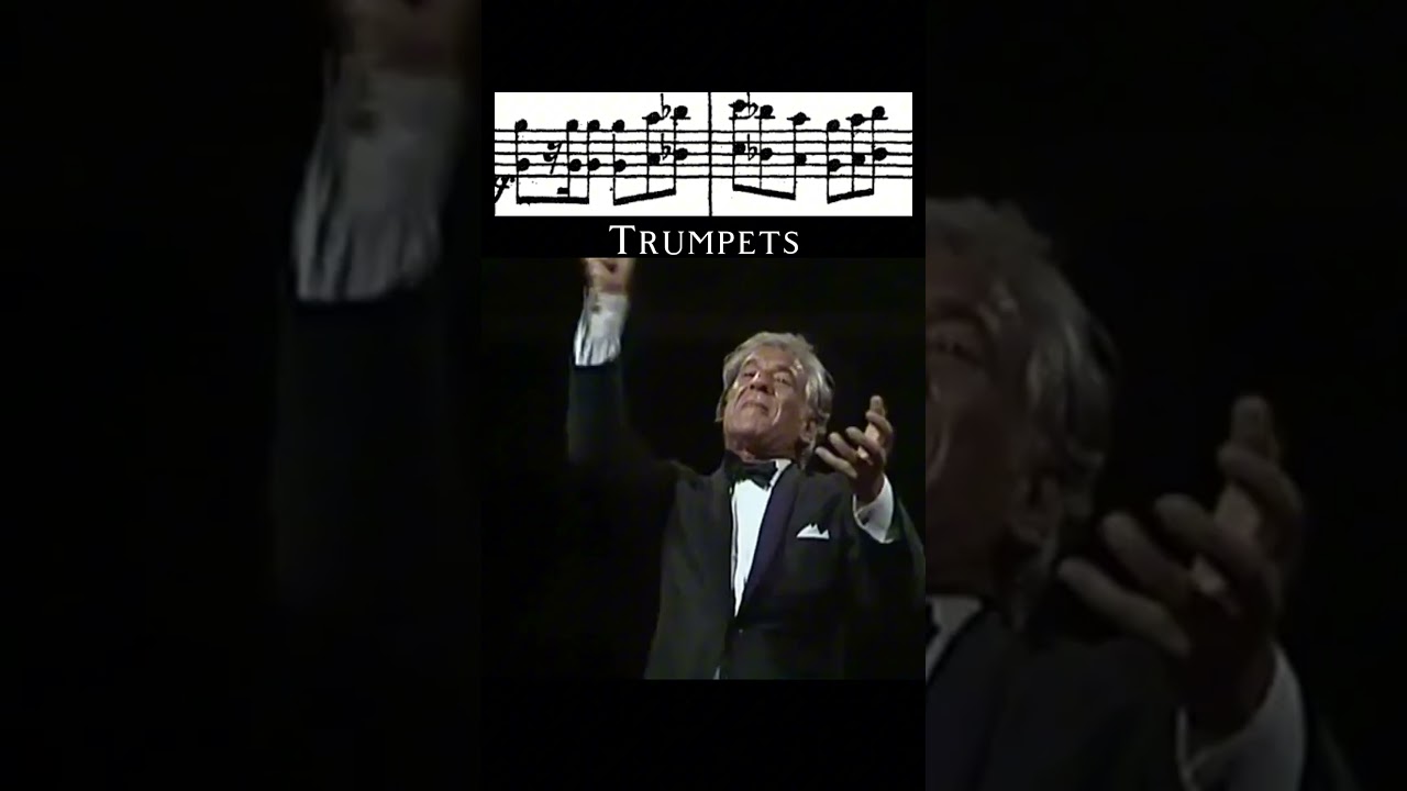Look at Bernstein sing Tchaikovsky #symphony 5 #classicalmusic #tchaikovsky#violin#frenchhorn#shorts auf YouTube ansehen Look at Bernstein sing Tchaikovsky #symphony 5 #classicalmusic #tchaikovsky#violin#frenchhorn#shorts auf YouTube ansehen