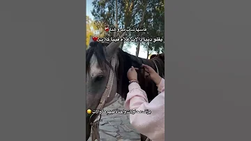 يقــــولو دنيا دلات علاه فينا گلات 