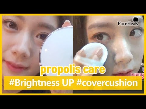 [pureheals/퓨어힐스] CLARA&amp;#39;s favorite cushion foundation, PureHeal&amp;#39;s Propolis 27 Cover Cushion