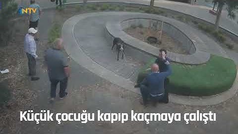 Küçük çocuğu kapıp kaçmaya çalıştı