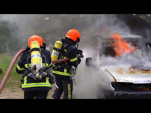 CLIP FEMINISATION DES
