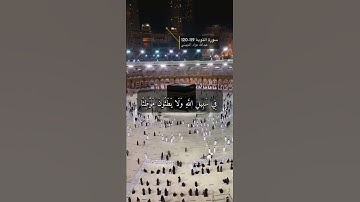 سورة التوبة الاية 119-120