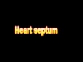 What Is The Definition Of Heart septum - Medical Dictionary Free Online Terms