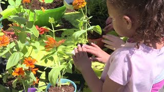 Students Seedlings For Seniors Project Brightens Day For Nursing Home Residents