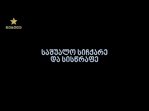 2.2. საშუალო სიჩქარე და სისწრაფე