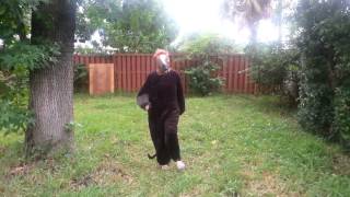 Famous Real prancercising! horse head edition! Profile