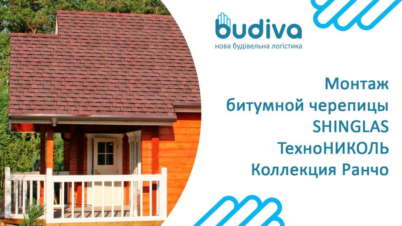 аризона шинглас фото