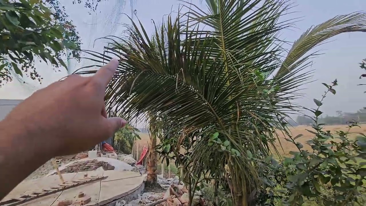 মাহে রমজানের দ্বিতীয় দিনে আমার লেয়ার ইউনিট টু এর সার্বিক পরিস্থিতি_