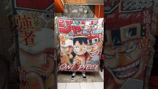 Be honest... would you use this as a blanket, hang it on the wall, or keep it as a collectible?👀