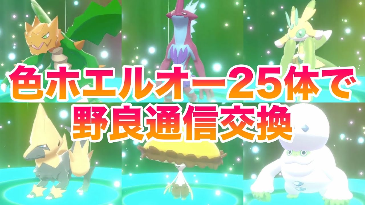 【検証】色違いホエルオー25体で野良交換したらレアなポケモンはゲットできる？色違いや幻が大量でヤバすぎ？！【鎧の孤島/ポケモン剣盾有料DLC】