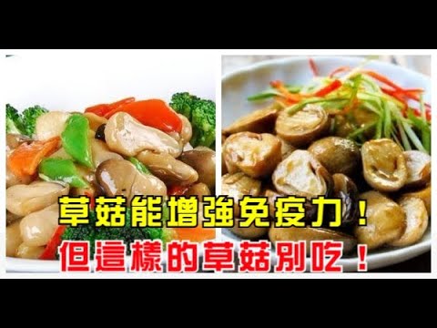 草菇可護肝健胃，增強免疫力！但這樣的草菇別吃！