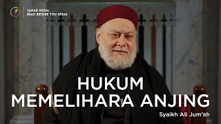 Syekh Ali Jum'ah | Hukum Memelihara Anjing dalam Agama Islam