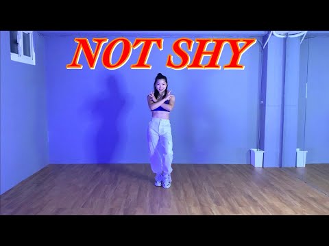 ITZY "Not Shy"  李侑真 Dance Practice