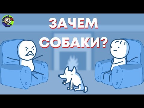 ЗАЧЕМ НУЖНЫ СОБАКИ?