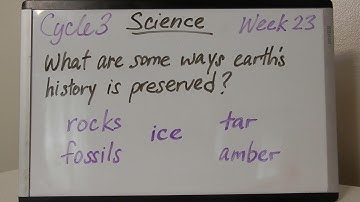 CC Cycle 3 Week 23 Science