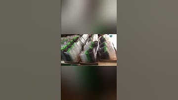 1x4 1x8 1x16 fiber optic plc splitter plc splitter direct factory supply