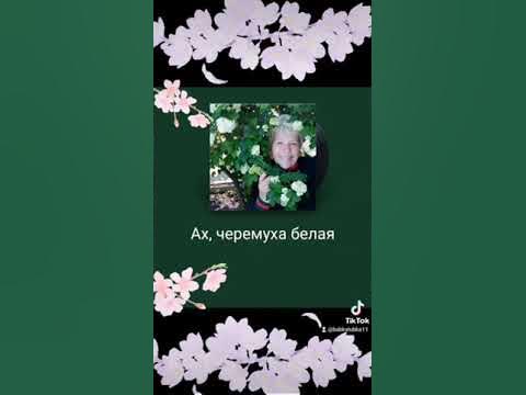Народное караоке. Караоке песня белая черемуха. Караоке народные песни со словами. Ах черёмуха белая. Девушка в черемухе.