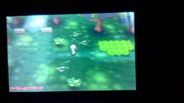 Pokemon Omega Ruby and Alpha Sapphire- How to get Leafeon
