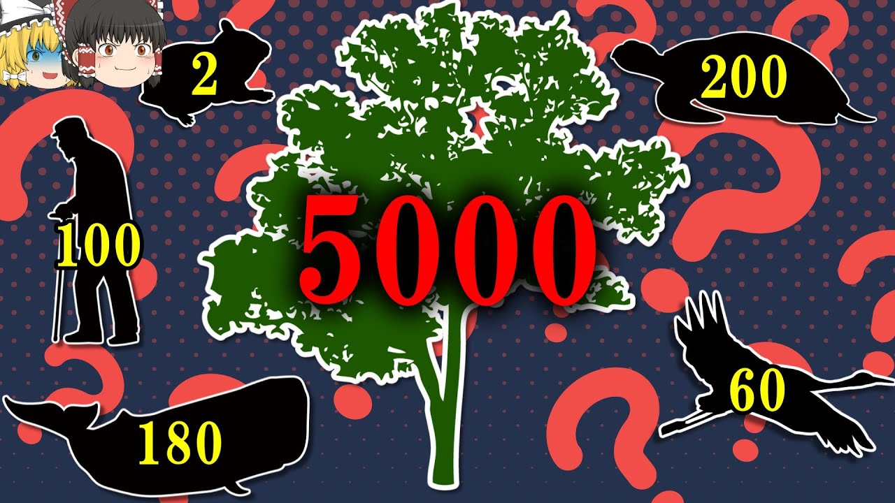 【寿命5000年】なぜ植物は動物に比べ異常に長生きするのか【ゆっくり解説】【雑学】
