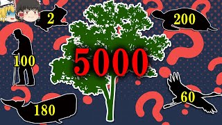 【寿命5000年】なぜ植物は動物に比べ異常に長生きするのか【ゆっくり解説】【雑学】