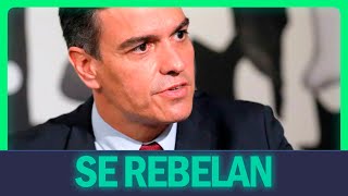 El PSOE SE REBELA contra Pedro Sánchez