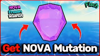 How To Get NOVA MUTATION in Fisch (ROBLOX)