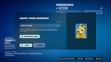 How to RENAME Your SIDEKICKS AGAIN in Fortnite! 🎮 | Customization & Style Guide (EASY STEPS)