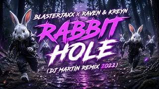 Blasterjaxx X Raven & Kreyn - Rabbit Hole(DJ MARTIN REMIX 2022)