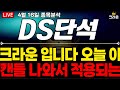 ds단석 주가 전망 크라운 입니다 이후 적용되는 이 사항