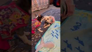 IMG 7540 IMG 7540